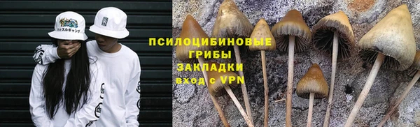 шишки Приозерск