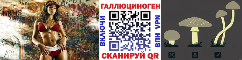 продажа наркотиков  Сибай  Галлюциногенные грибы Magic Shrooms 