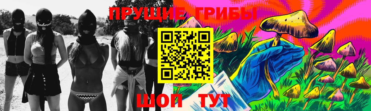 Псилоцибиновые грибы GOLDEN TEACHER  Галлюциногенные грибы Cubensis  Вход с VPN  дарнет шоп  Сибай 