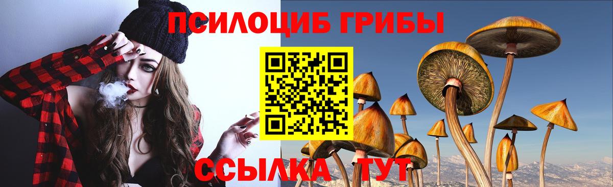 Галлюциногенные грибы Magic Shrooms Сибай