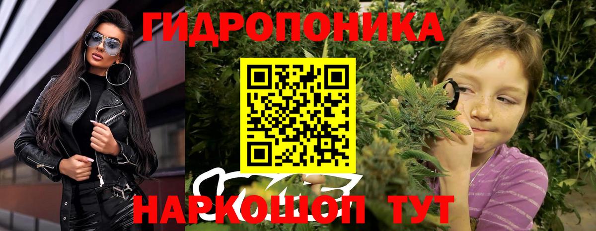 Канабис план Сибай