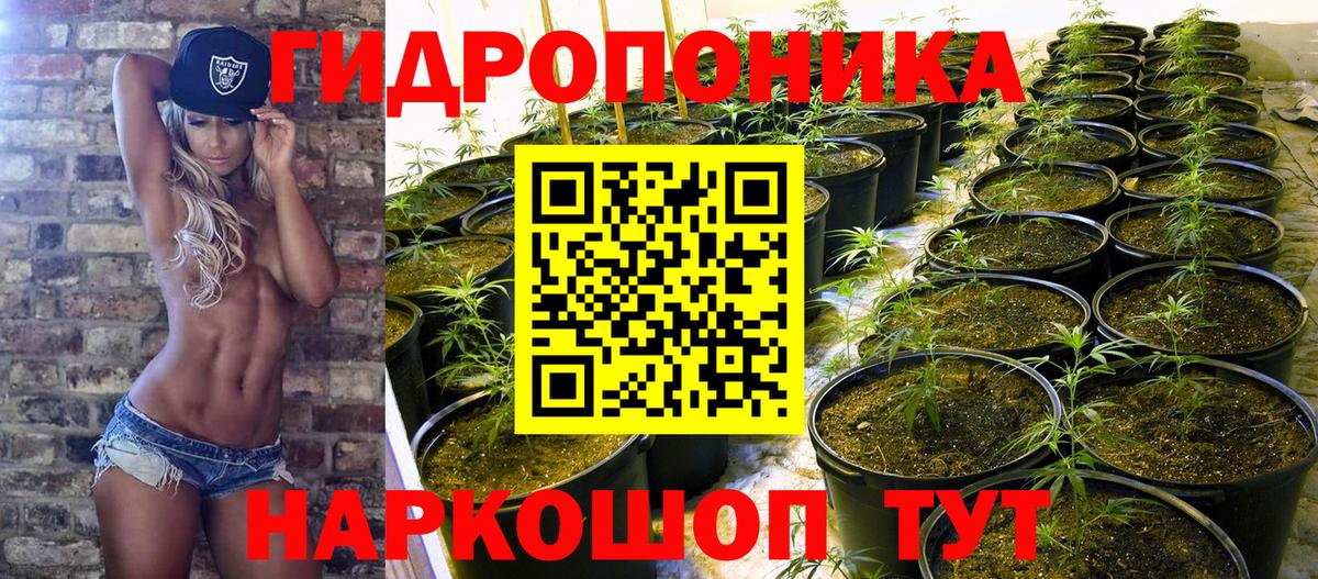 Бошки Шишки Amnesia  Каннабис гибрид  Вход с VPN  Марихуана план  Сибай 